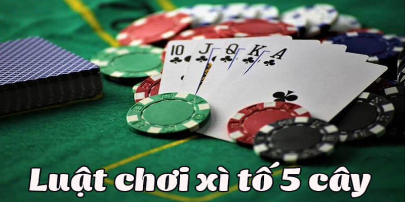 Xì tố 5 lá là gì?