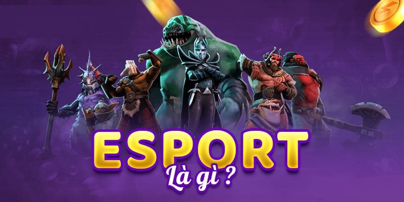 Đôi nét về m88 esports