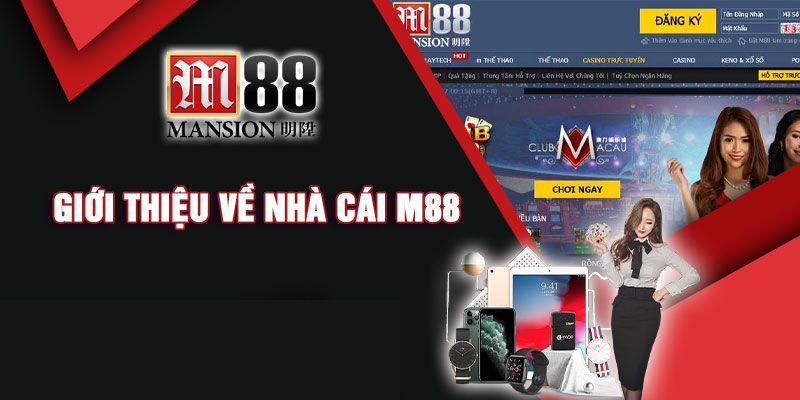 Giới thiệu về nhà cái m88 city